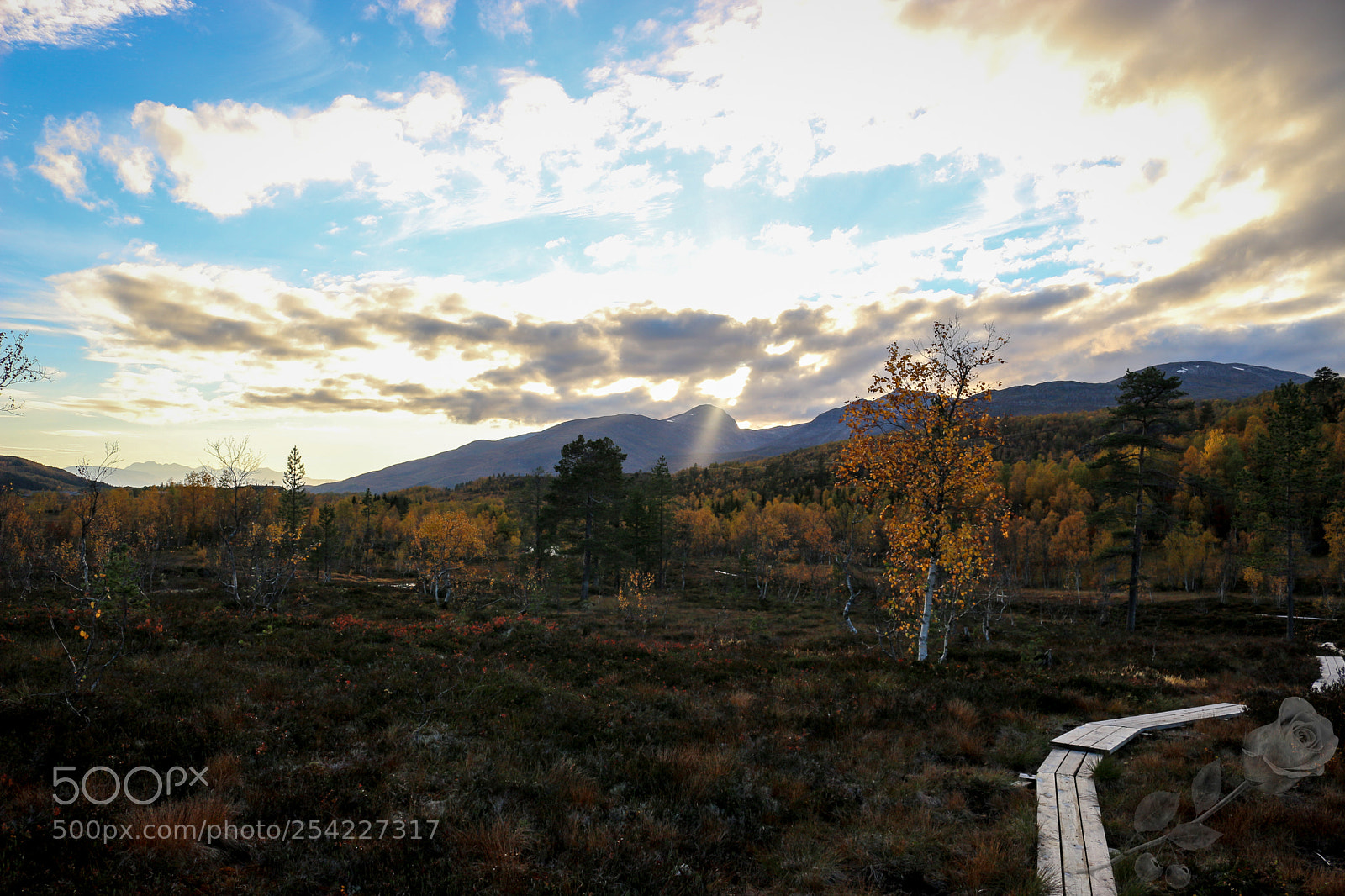 Canon EOS 700D (EOS Rebel T5i / EOS Kiss X7i) sample photo. Finalcutwatermark photography