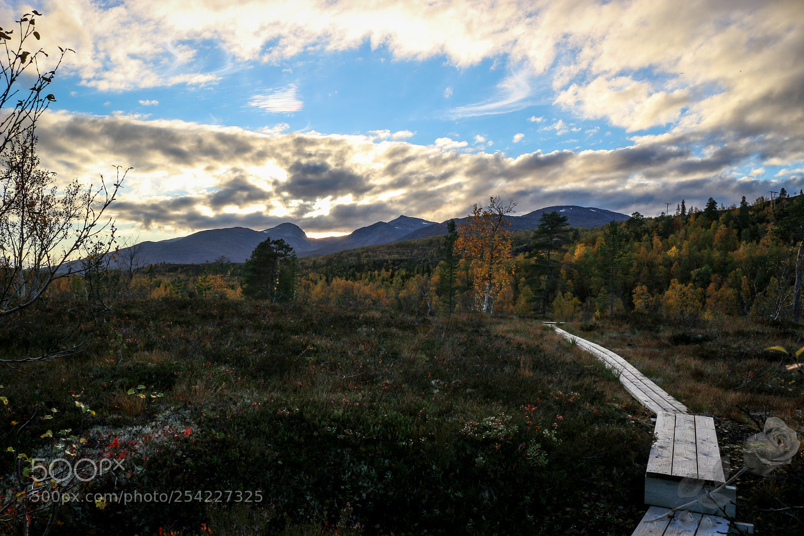 Canon EOS 700D (EOS Rebel T5i / EOS Kiss X7i) sample photo. Finalcutwatermark photography