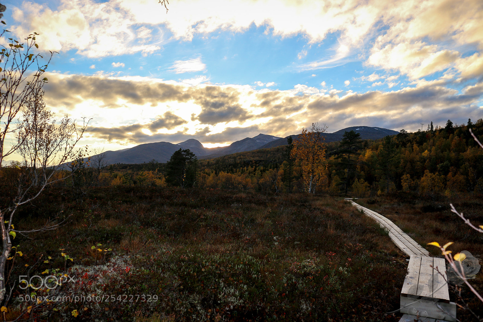Canon EOS 700D (EOS Rebel T5i / EOS Kiss X7i) sample photo. Finalcutwatermark photography