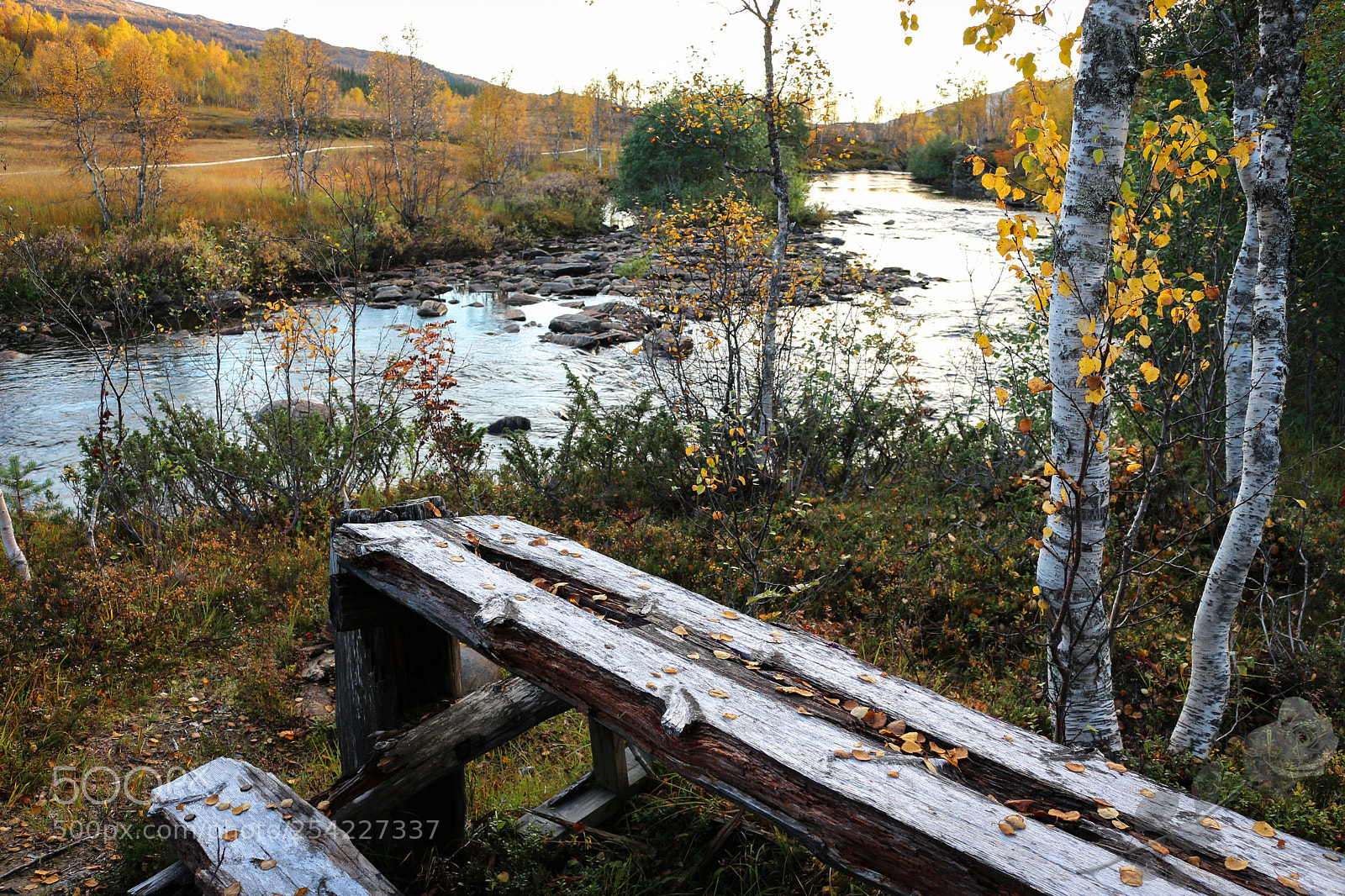 Canon EOS 700D (EOS Rebel T5i / EOS Kiss X7i) sample photo. Finalcutwatermark photography