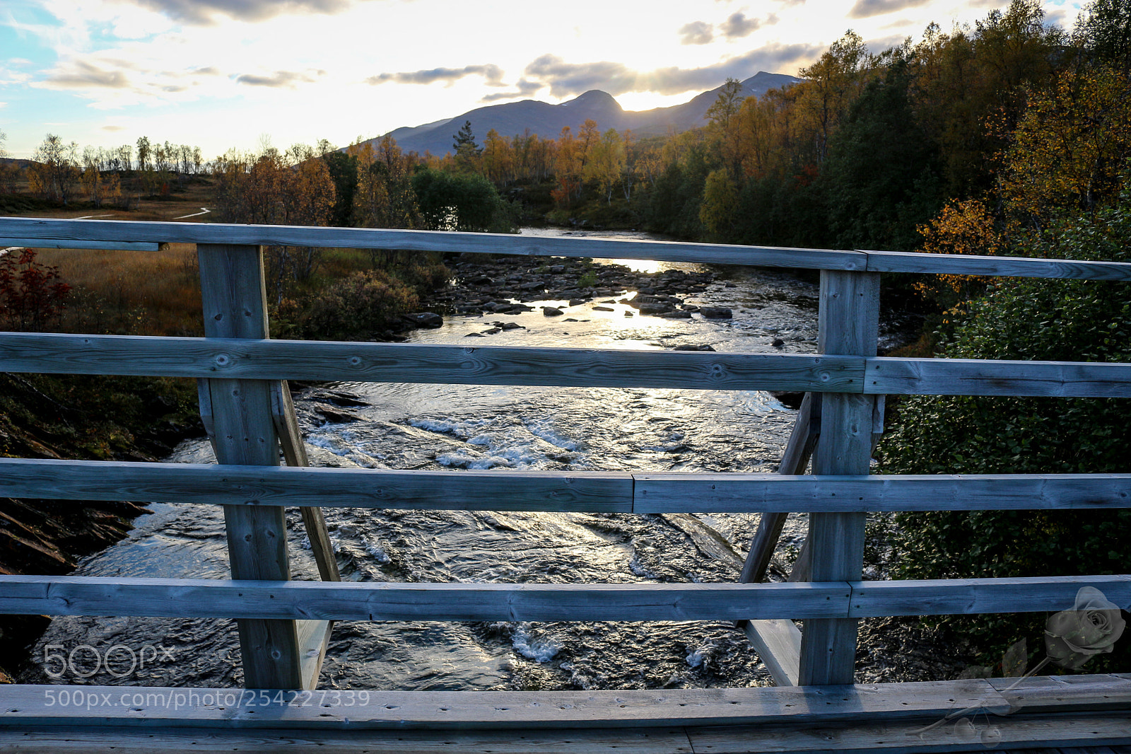 Canon EOS 700D (EOS Rebel T5i / EOS Kiss X7i) sample photo. Finalcutwatermark photography