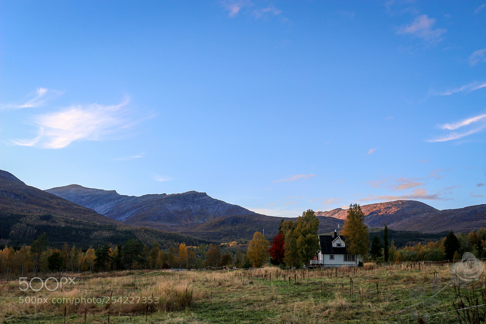 Canon EOS 700D (EOS Rebel T5i / EOS Kiss X7i) sample photo. Finalcutwatermark photography