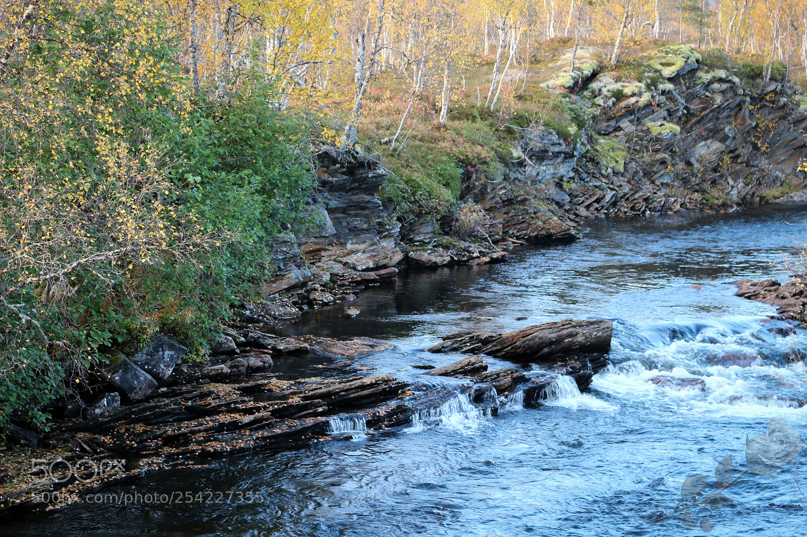 Canon EOS 700D (EOS Rebel T5i / EOS Kiss X7i) sample photo. Finalcutwatermark photography