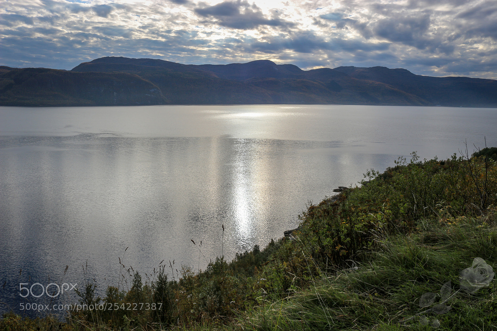 Canon EOS 700D (EOS Rebel T5i / EOS Kiss X7i) sample photo. Finalcutwatermark photography