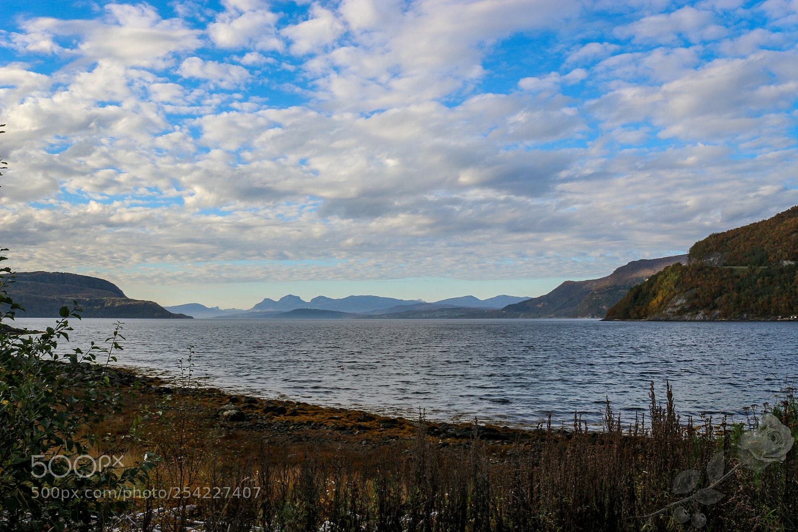 Canon EOS 700D (EOS Rebel T5i / EOS Kiss X7i) sample photo. Finalcutwatermark photography