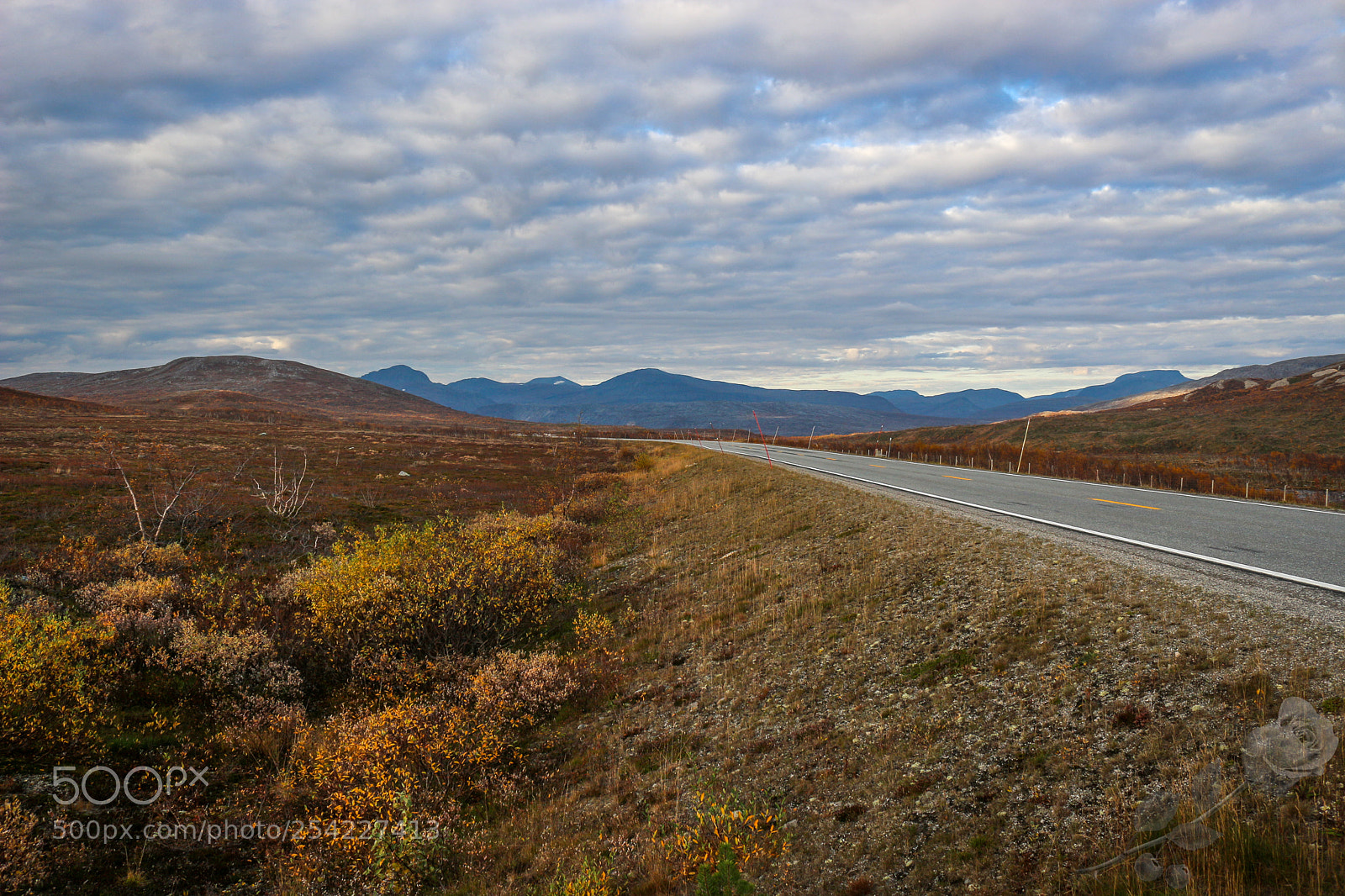 Canon EOS 700D (EOS Rebel T5i / EOS Kiss X7i) sample photo. Finalcutwatermark photography