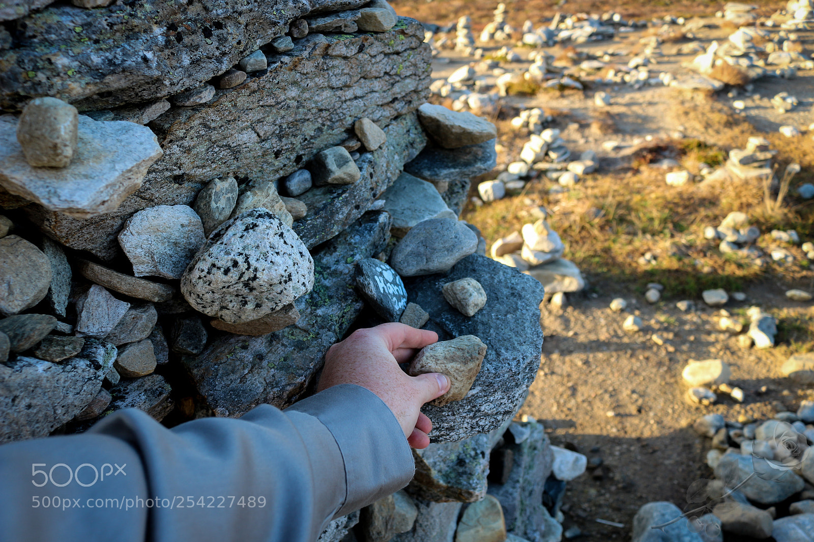 Canon EOS 700D (EOS Rebel T5i / EOS Kiss X7i) sample photo. Finalcutwatermark photography