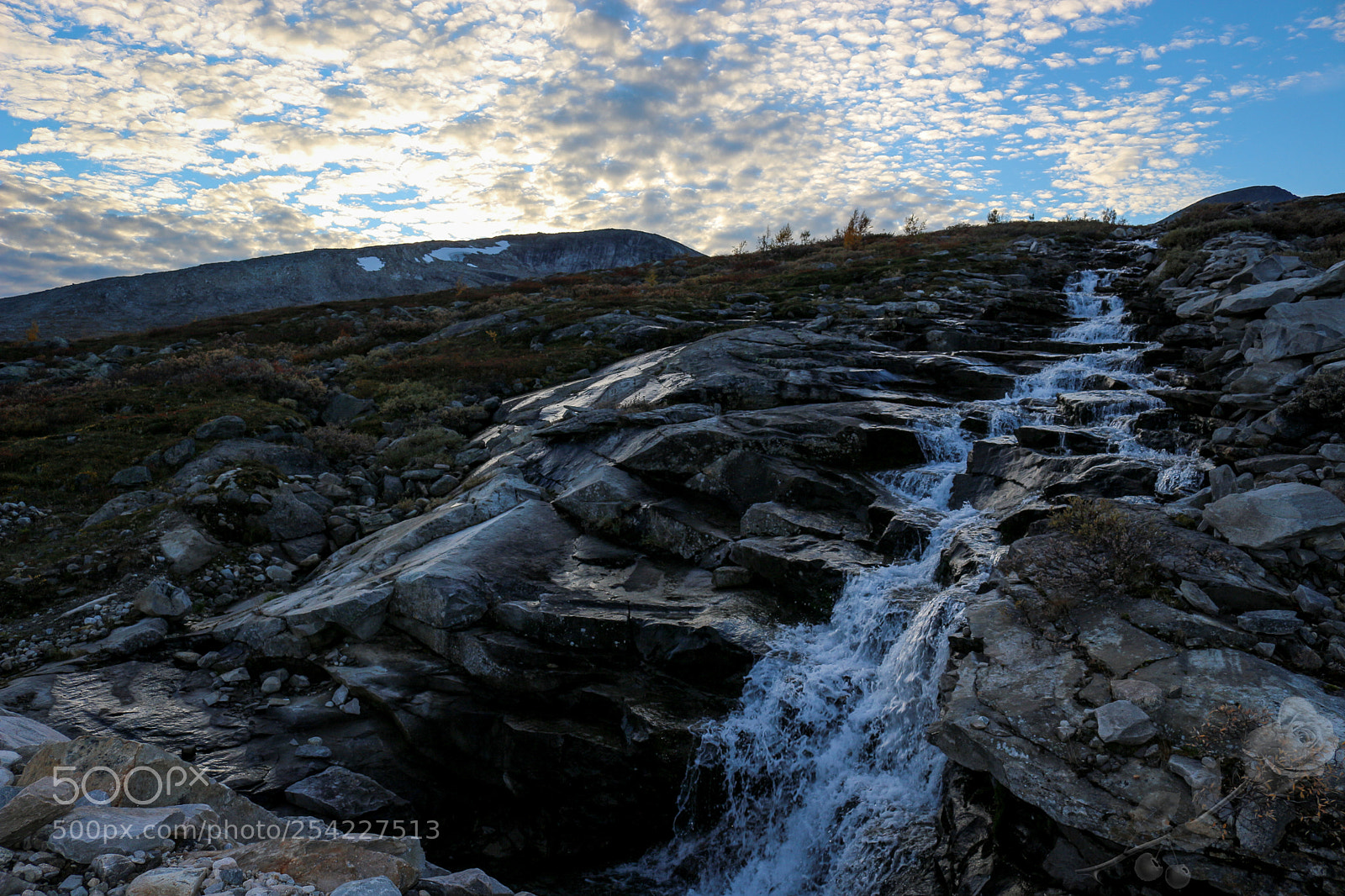 Canon EOS 700D (EOS Rebel T5i / EOS Kiss X7i) sample photo. Finalcutwatermark photography