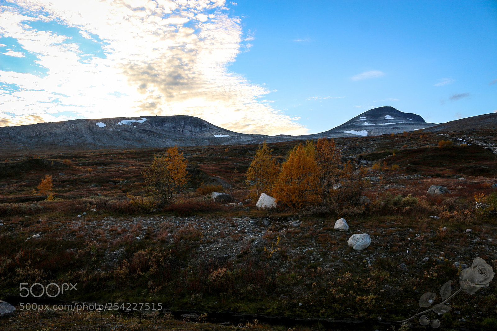 Canon EOS 700D (EOS Rebel T5i / EOS Kiss X7i) sample photo. Finalcutwatermark photography