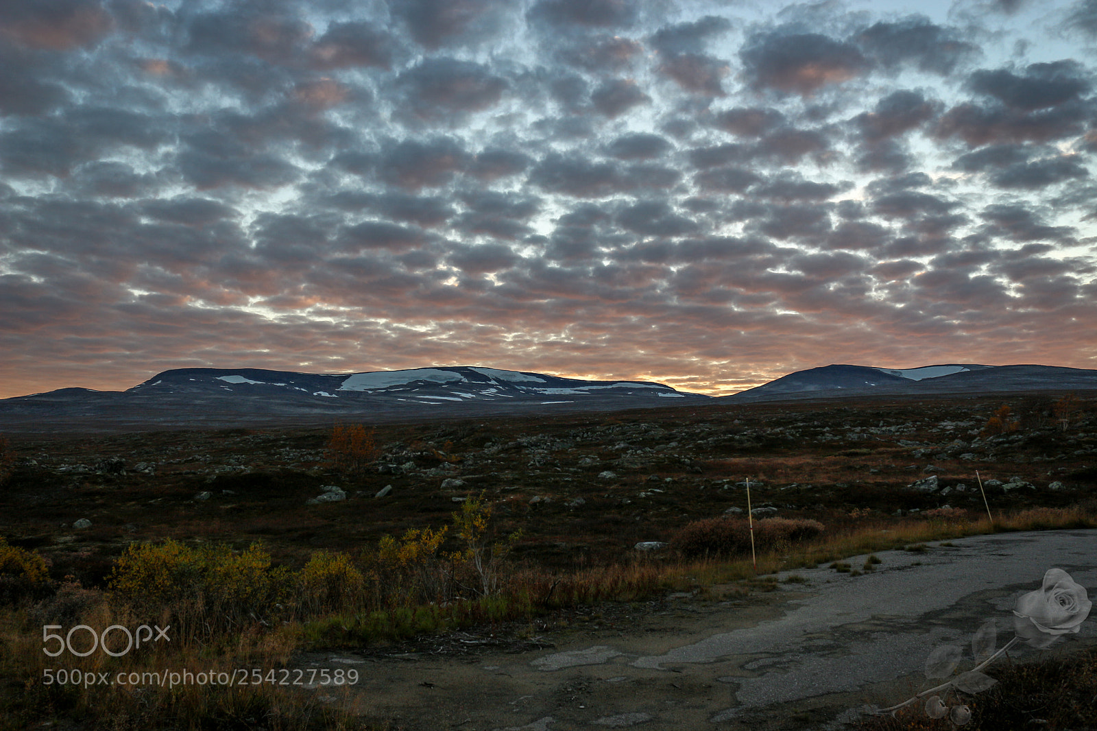 Canon EOS 700D (EOS Rebel T5i / EOS Kiss X7i) sample photo. Finalcutwatermark photography