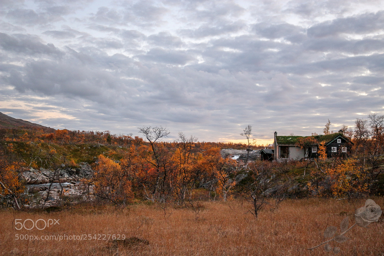 Canon EOS 700D (EOS Rebel T5i / EOS Kiss X7i) sample photo. Finalcutwatermark photography