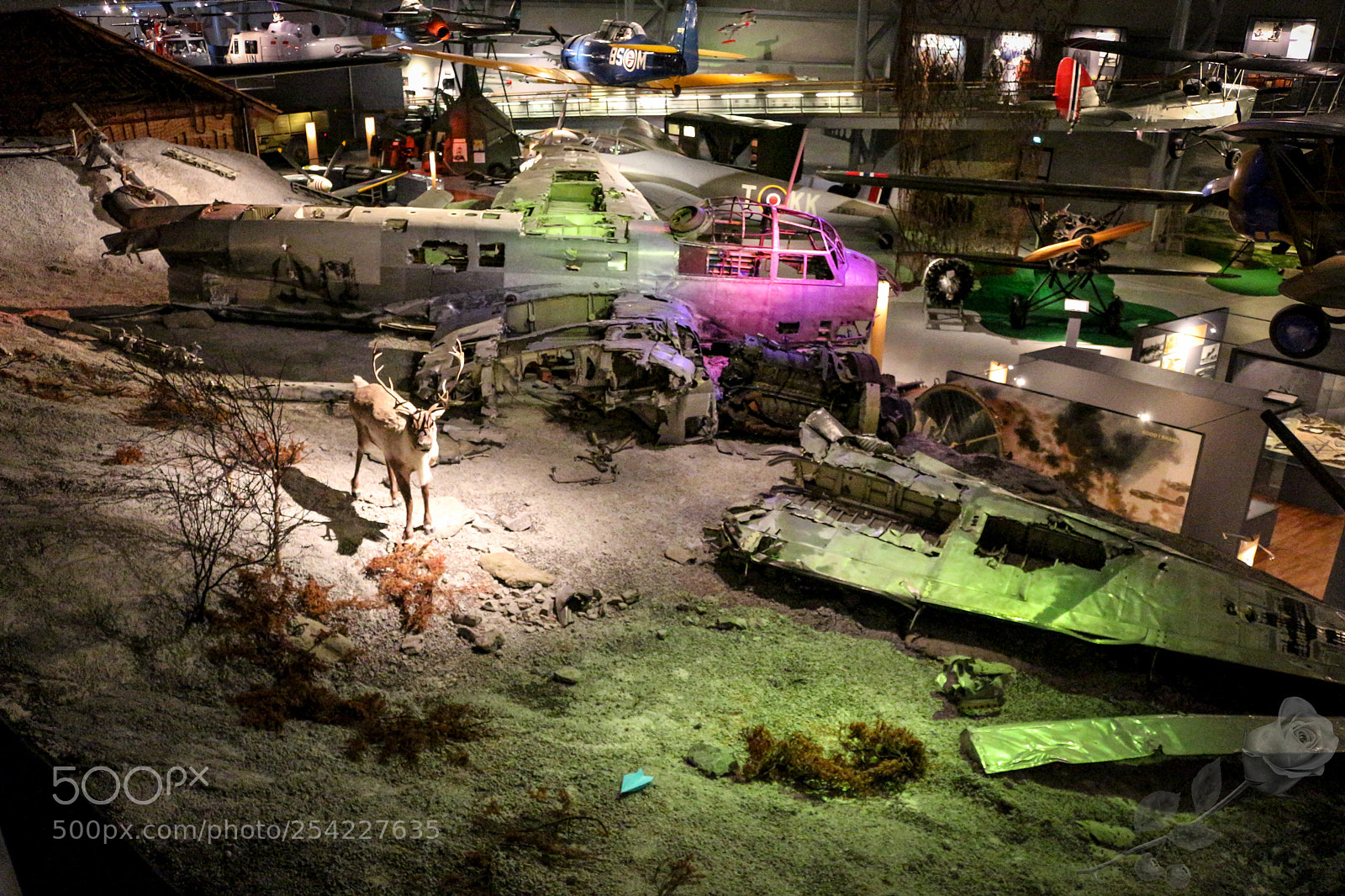 Canon EOS 700D (EOS Rebel T5i / EOS Kiss X7i) sample photo. Finalcutwatermark photography