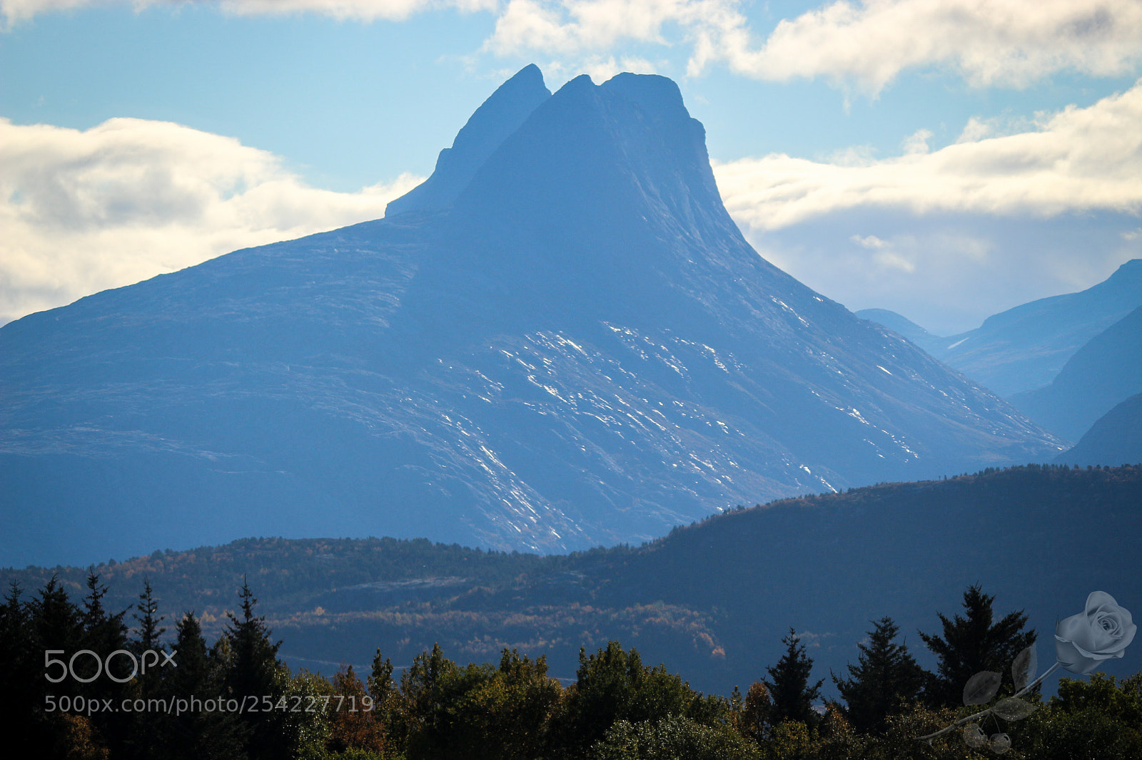 Canon EOS 700D (EOS Rebel T5i / EOS Kiss X7i) sample photo. Finalcutwatermark photography