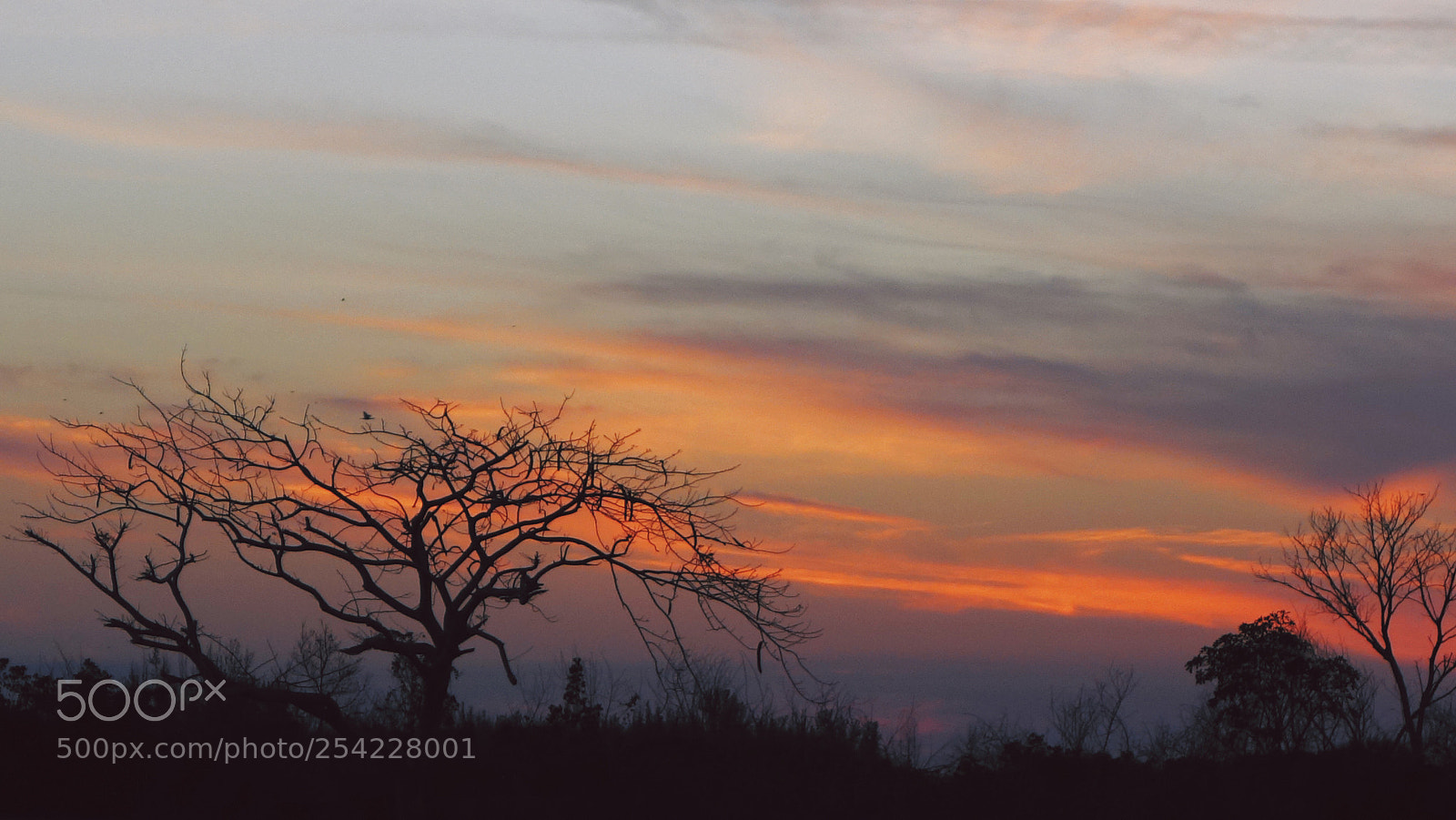 Sony Cyber-shot DSC-RX100 II sample photo. Beautiful horizon  photography