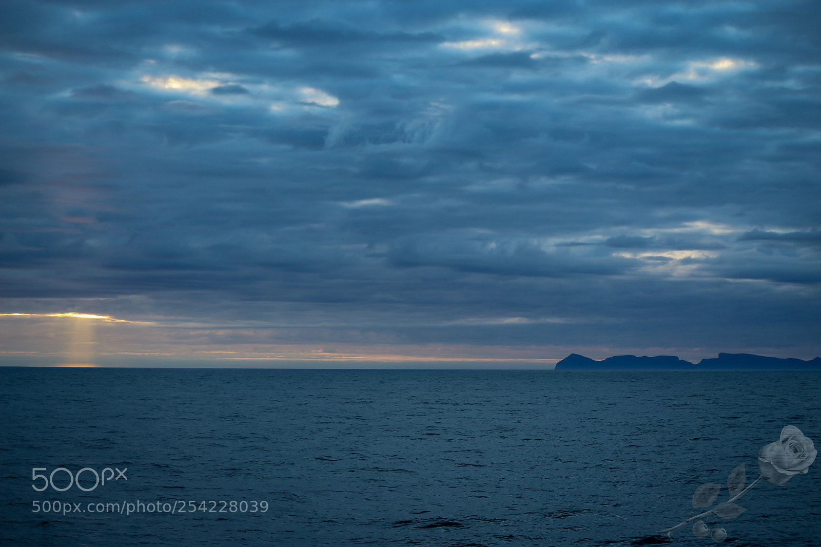 Canon EOS 700D (EOS Rebel T5i / EOS Kiss X7i) sample photo. Finalcutwatermark photography