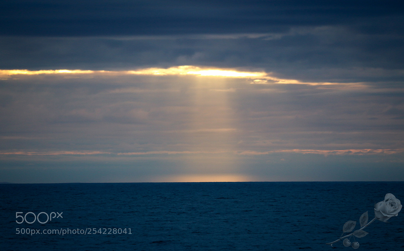 Canon EOS 700D (EOS Rebel T5i / EOS Kiss X7i) sample photo. Finalcutwatermark photography