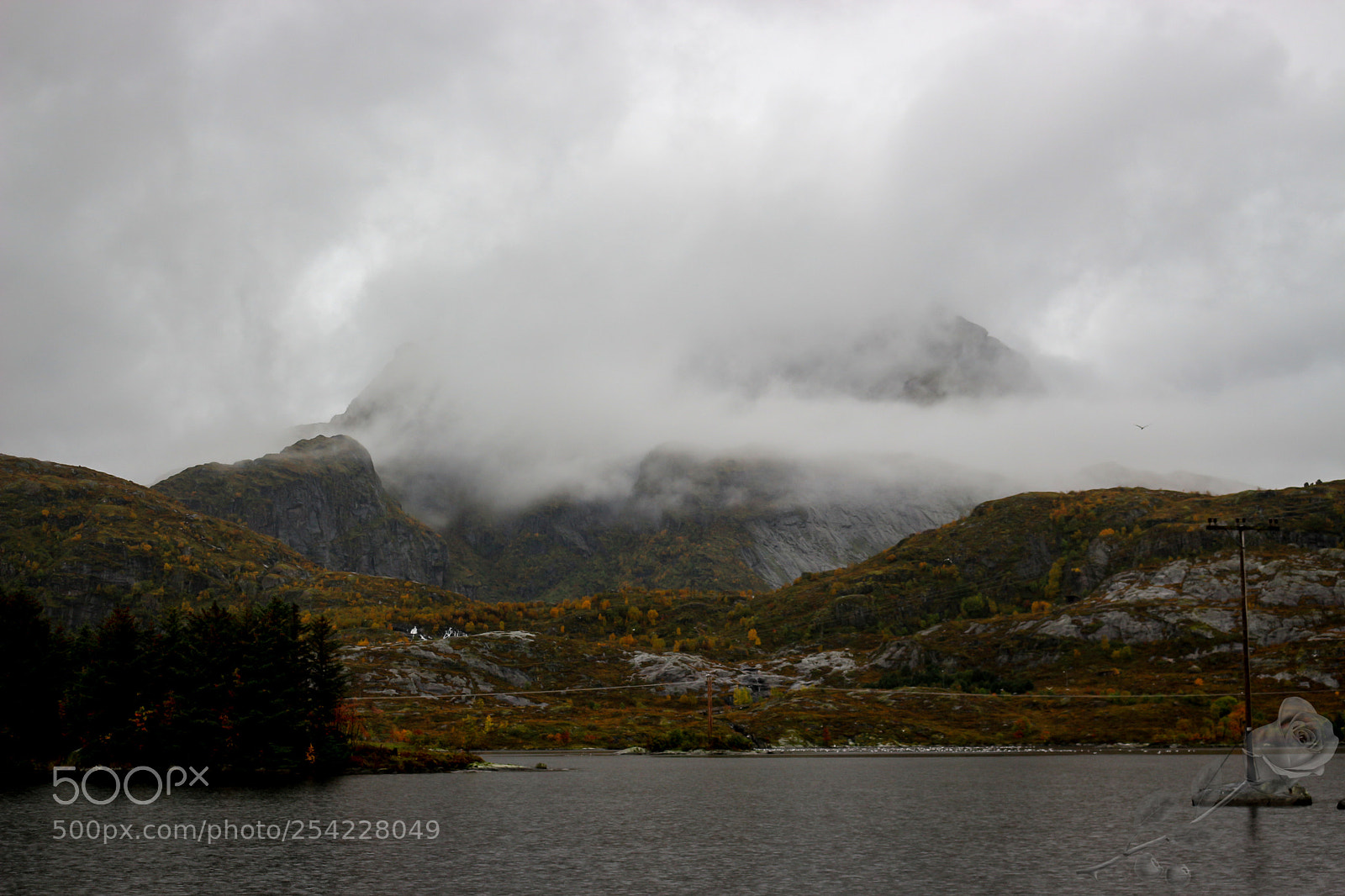 Canon EOS 700D (EOS Rebel T5i / EOS Kiss X7i) sample photo. Finalcutwatermark photography