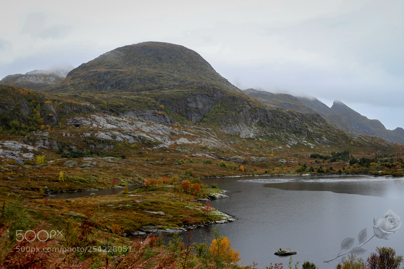 Canon EOS 700D (EOS Rebel T5i / EOS Kiss X7i) sample photo. Finalcutwatermark photography