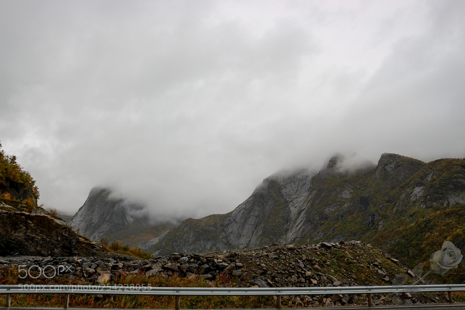 Canon EOS 700D (EOS Rebel T5i / EOS Kiss X7i) sample photo. Finalcutwatermark photography