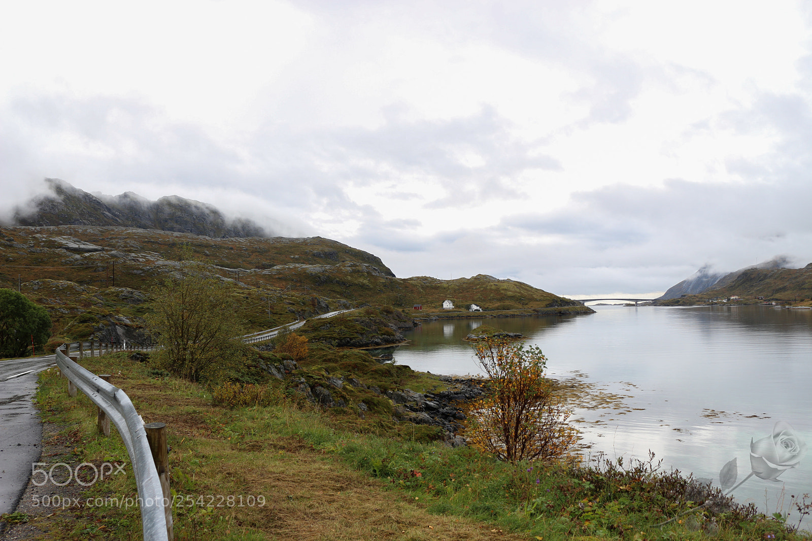 Canon EOS 700D (EOS Rebel T5i / EOS Kiss X7i) sample photo. Finalcutwatermark photography