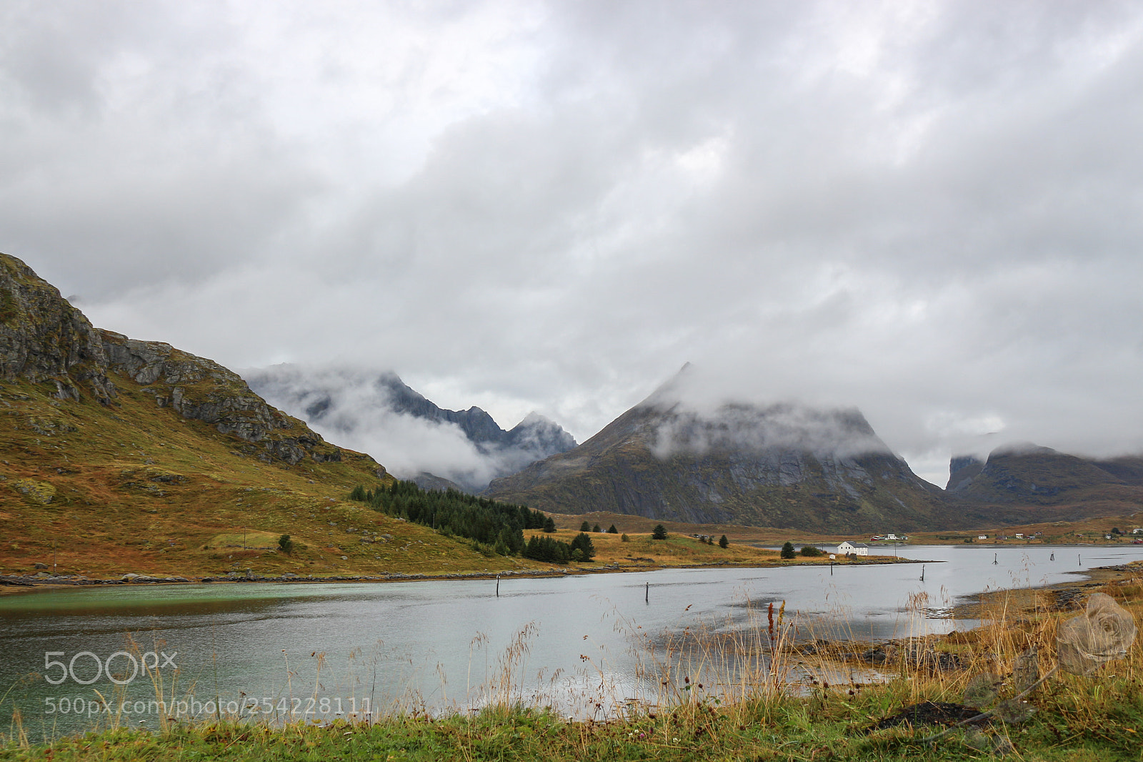 Canon EOS 700D (EOS Rebel T5i / EOS Kiss X7i) sample photo. Finalcutwatermark photography