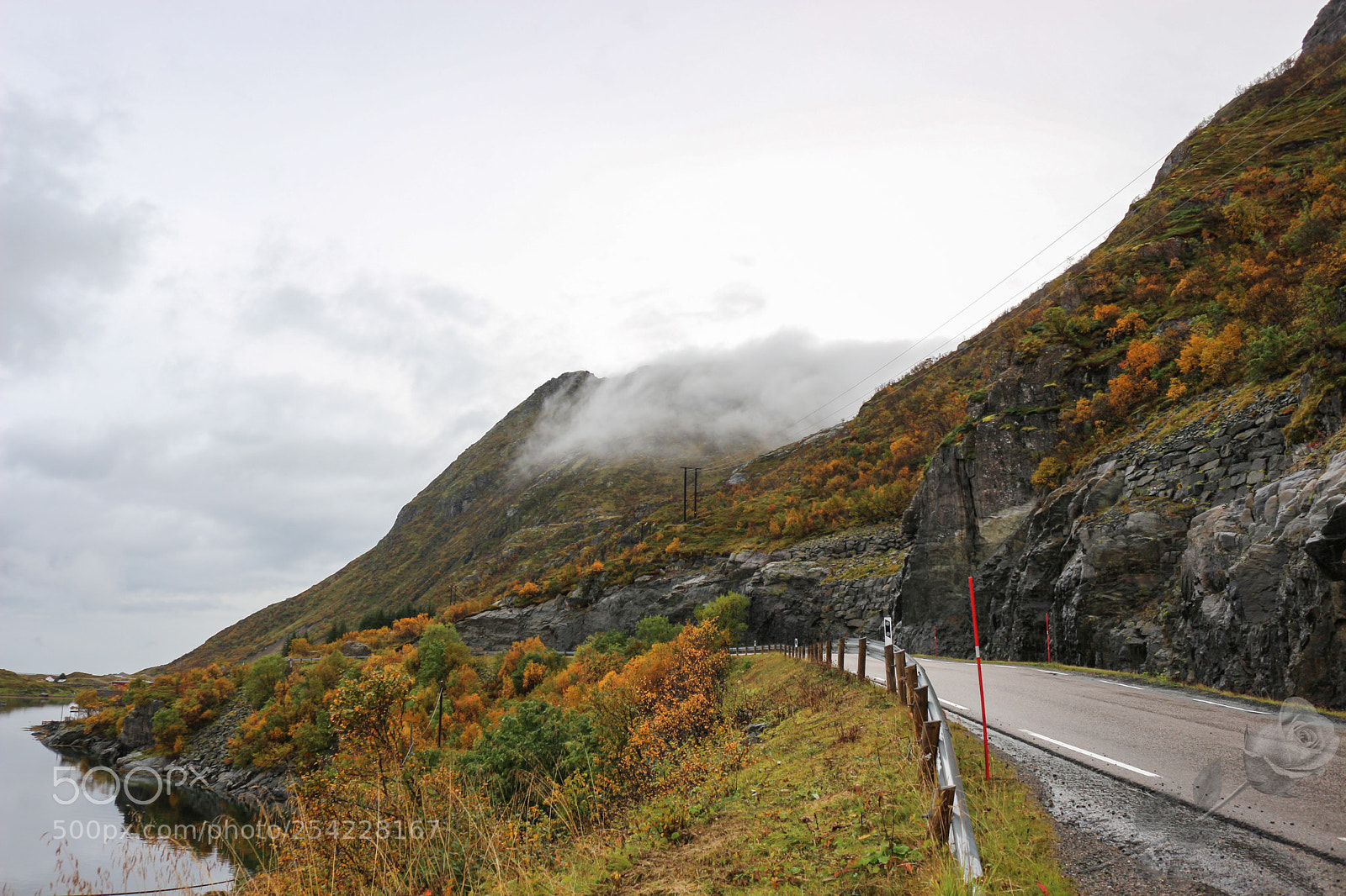 Canon EOS 700D (EOS Rebel T5i / EOS Kiss X7i) sample photo. Finalcutwatermark photography