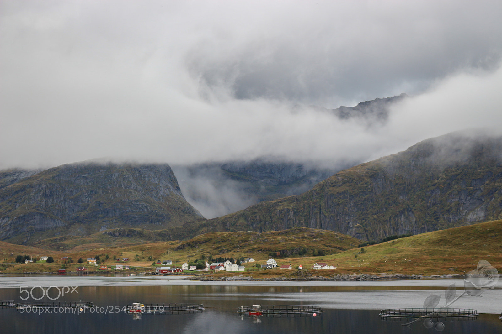 Canon EOS 700D (EOS Rebel T5i / EOS Kiss X7i) sample photo. Finalcutwatermark photography