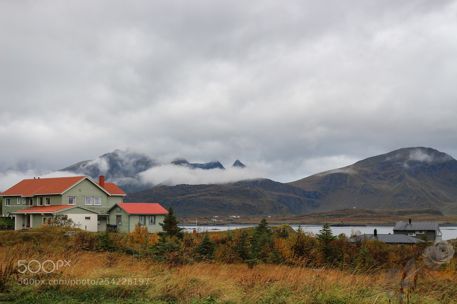 Canon EOS 700D (EOS Rebel T5i / EOS Kiss X7i) sample photo. Finalcutwatermark photography