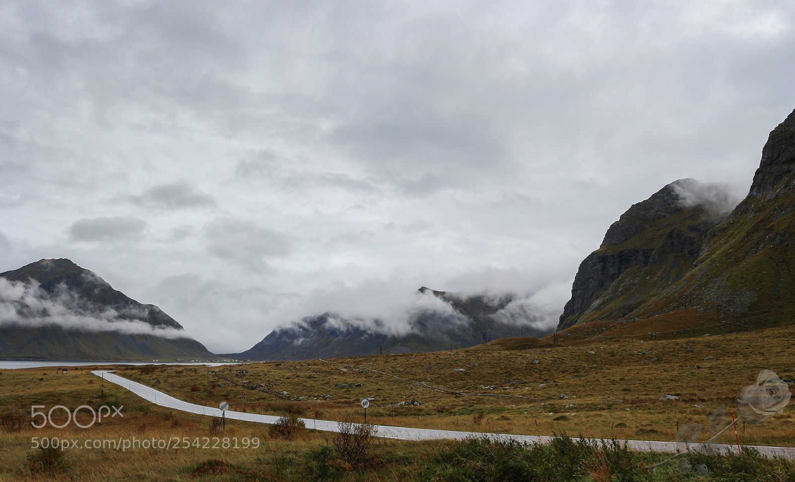 Canon EOS 700D (EOS Rebel T5i / EOS Kiss X7i) sample photo. Finalcutwatermark photography