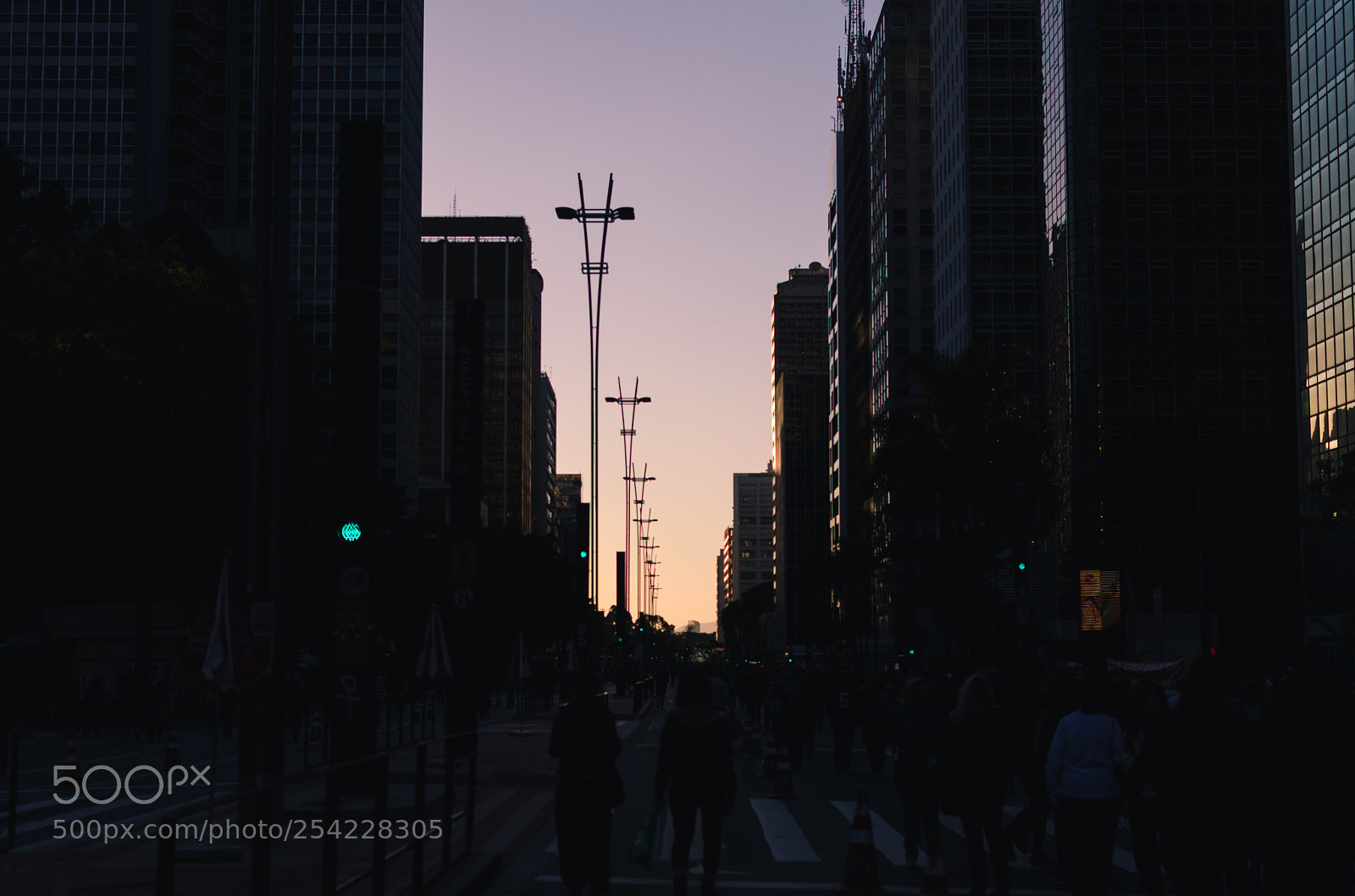 Nikon D5100 sample photo. Sp photography