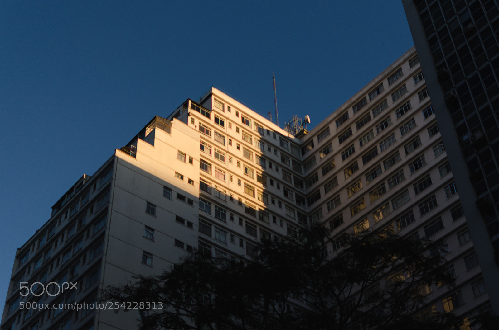 Nikon D5100 sample photo. Sp photography