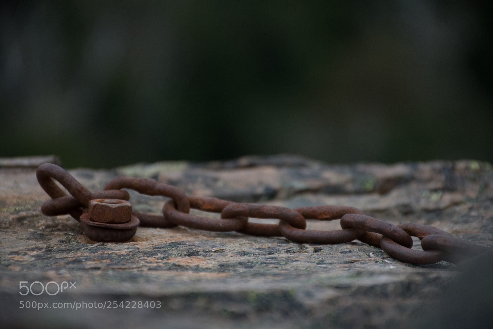 Nikon D7200 sample photo. Cadenas photography