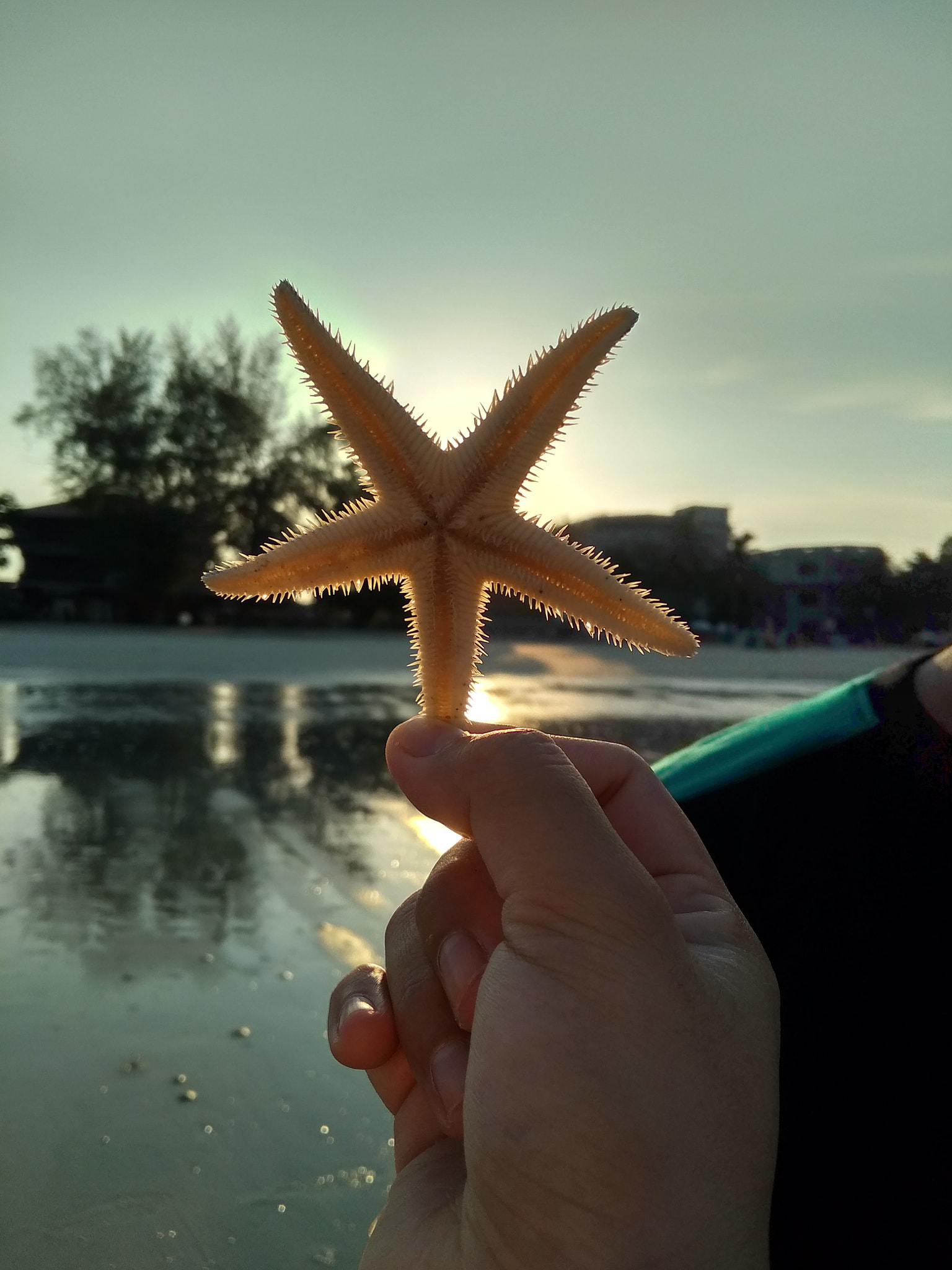 Xiaomi Redmi 5A sample photo