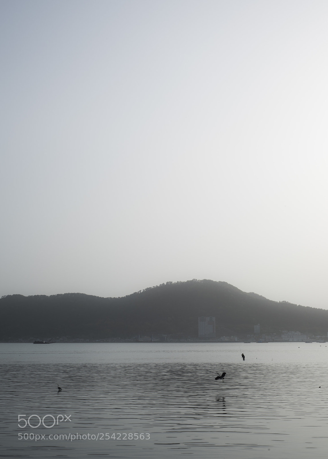 Nikon D810 sample photo. In a sea 6 photography