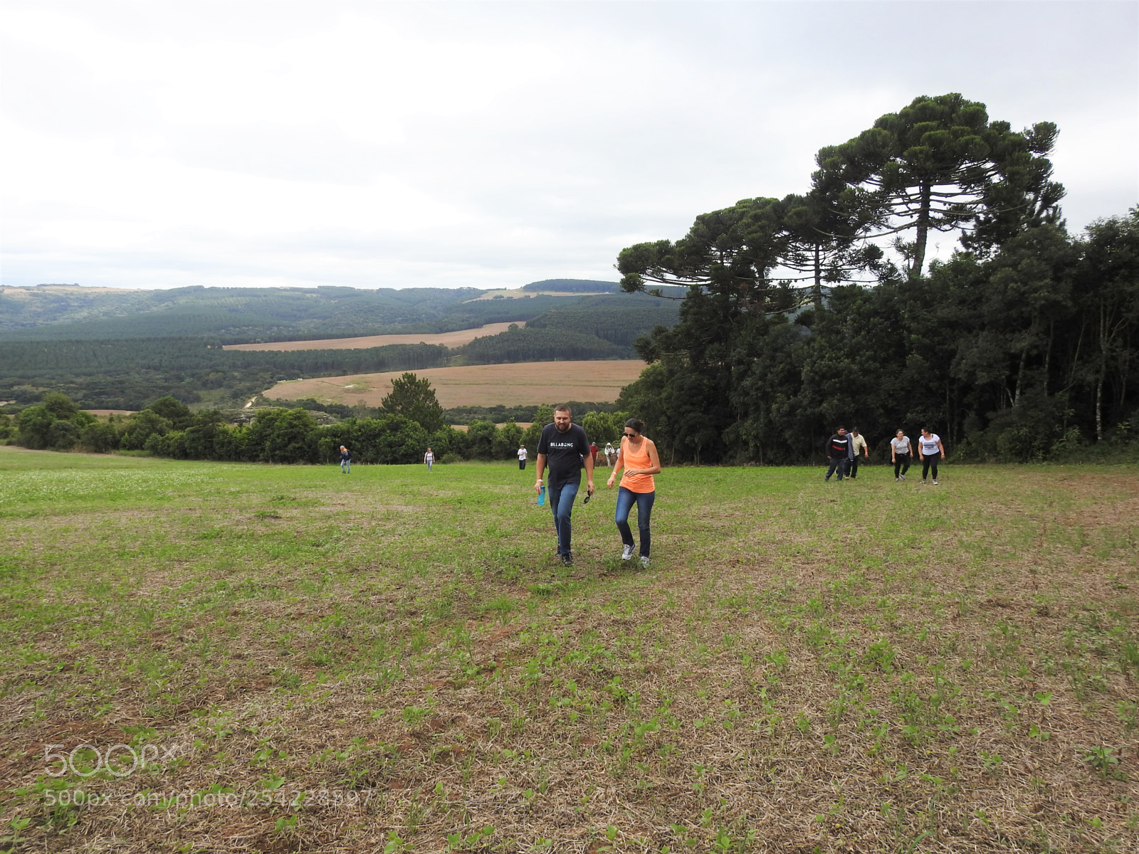 Nikon Coolpix P900 sample photo. Campos gerais photography