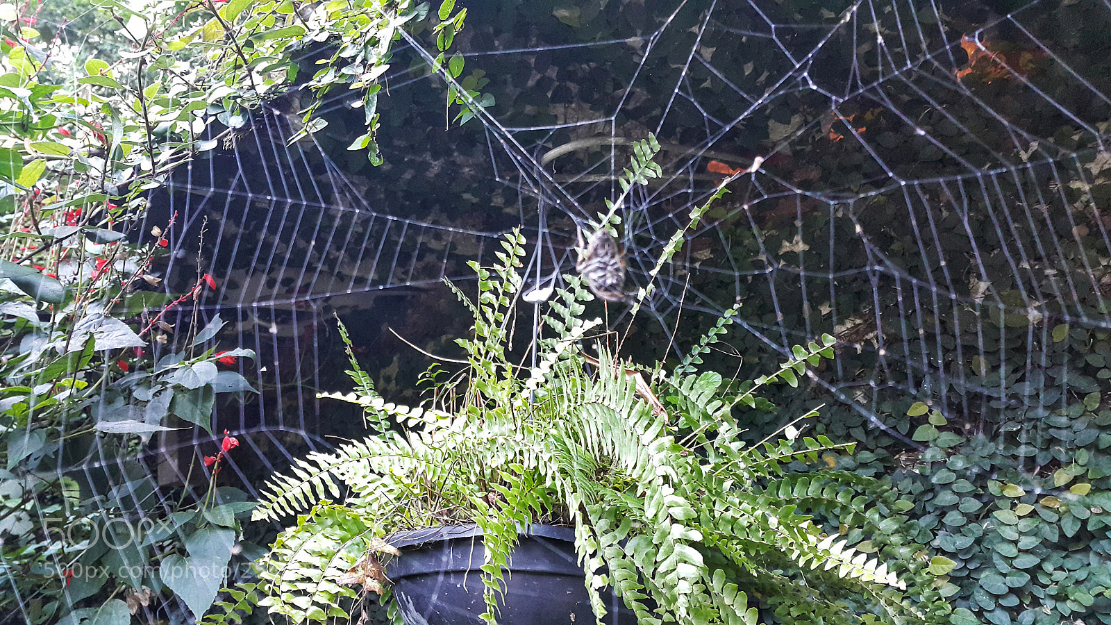 Samsung Galaxy Note4 sample photo. Untitled photography