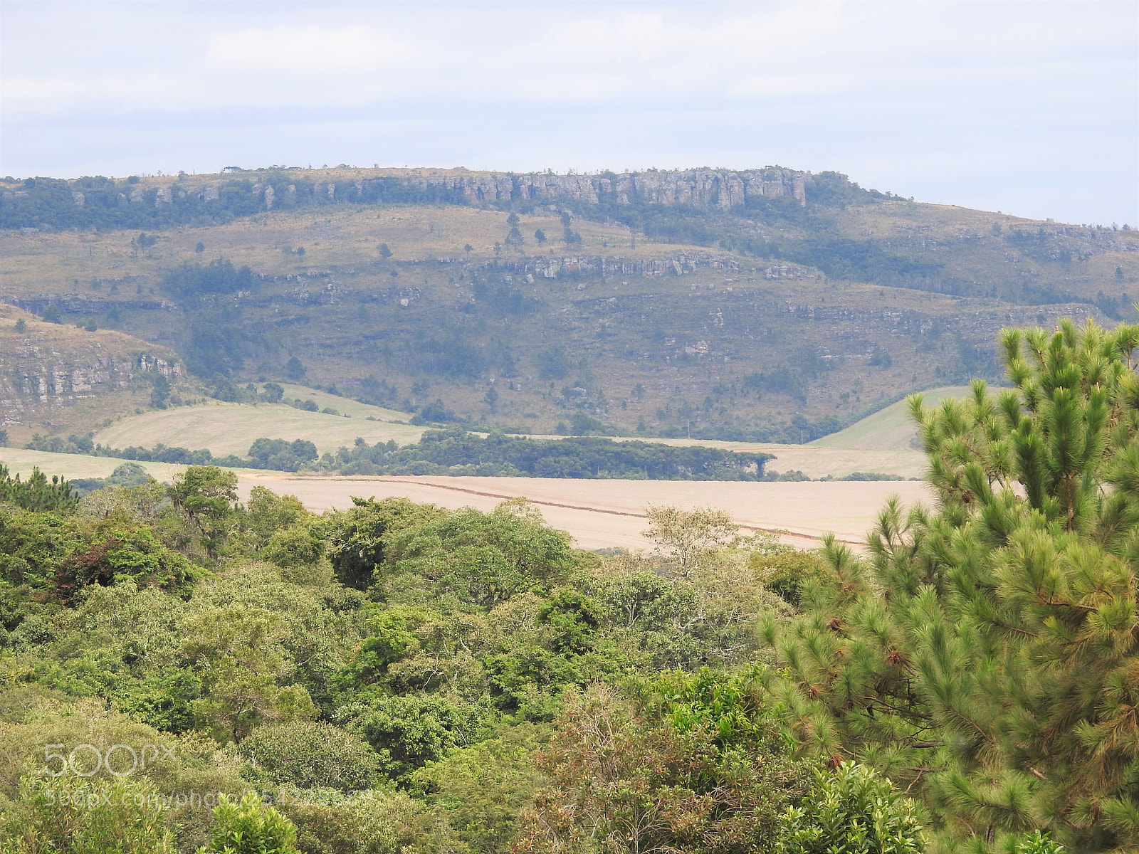 Nikon Coolpix P900 sample photo. Campos gerais ii photography