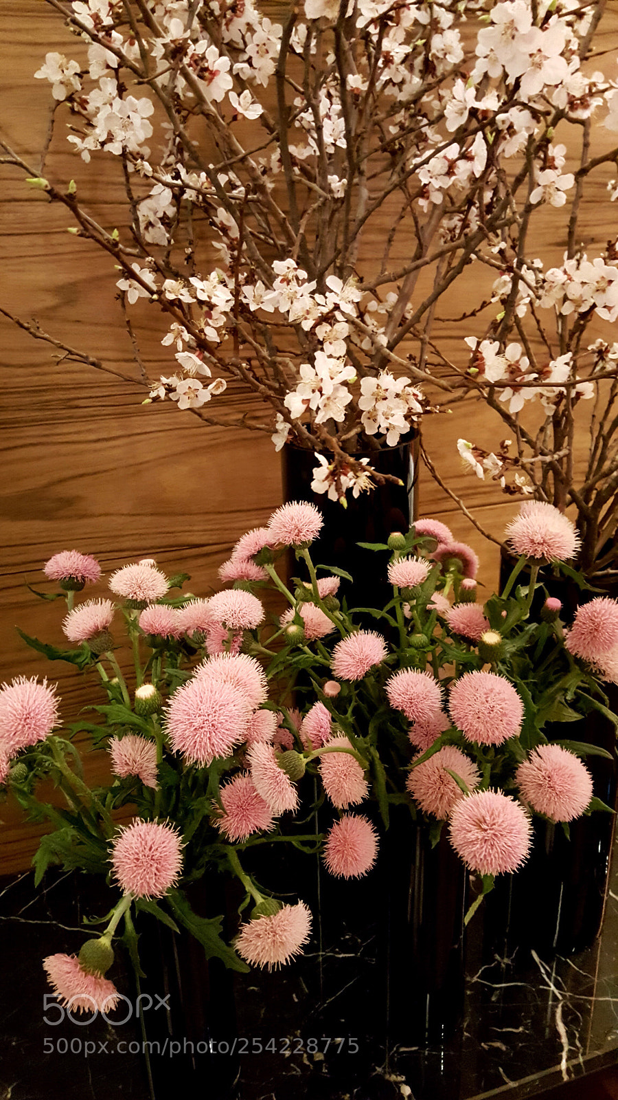 Samsung Galaxy Note5 sample photo. Flowers. seoul. photography