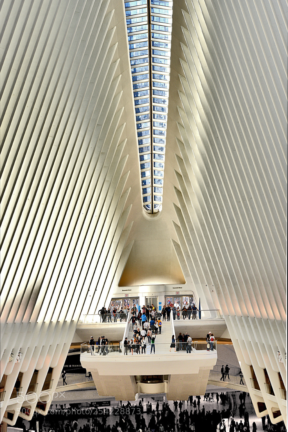 Nikon D3400 sample photo. Occulus platform photography
