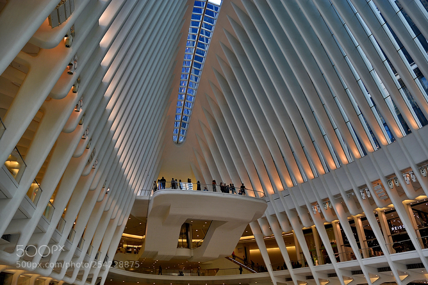 Nikon D3400 sample photo. Occulus platform photography