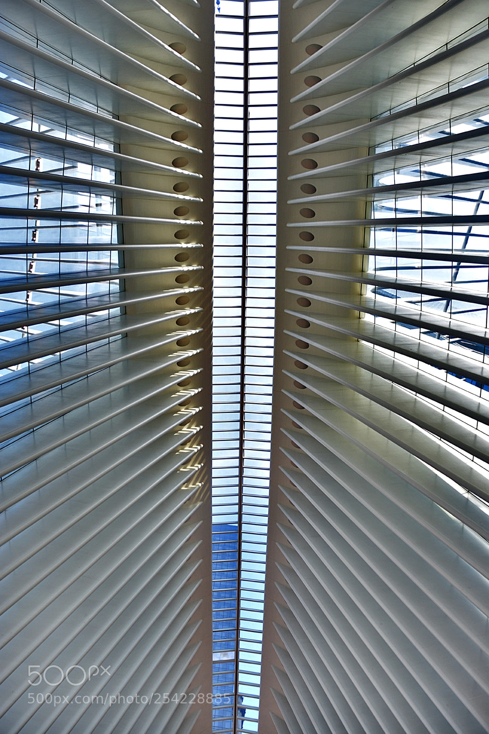 Nikon D3400 sample photo. Occulus skylight photography