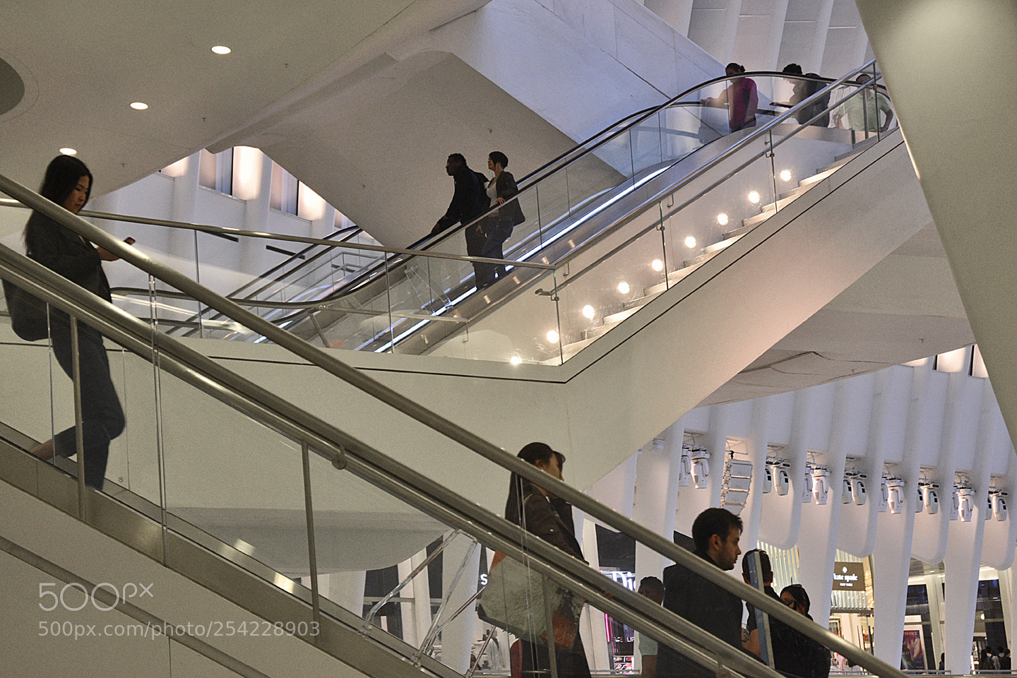 Nikon D3400 sample photo. Walkways photography