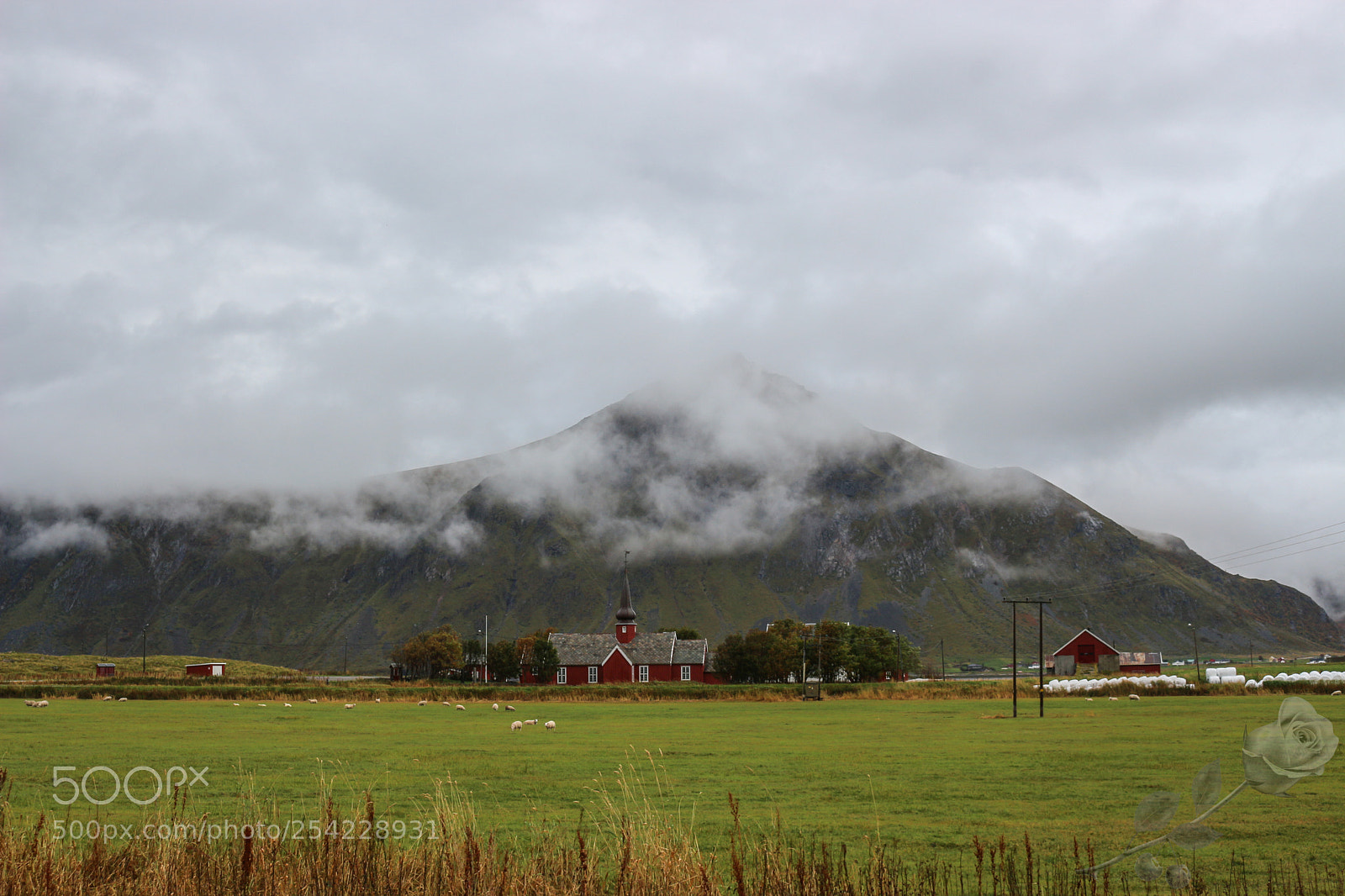 Canon EOS 700D (EOS Rebel T5i / EOS Kiss X7i) sample photo. Finalcutwatermark photography
