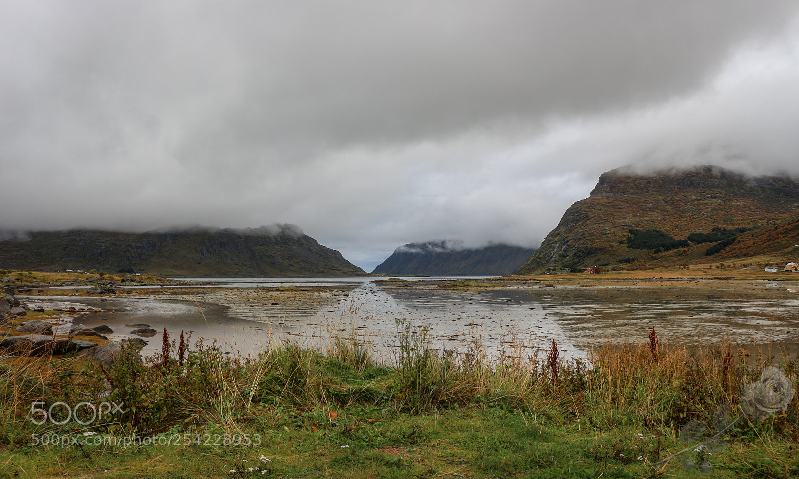 Canon EOS 700D (EOS Rebel T5i / EOS Kiss X7i) sample photo. Finalcutwatermark photography