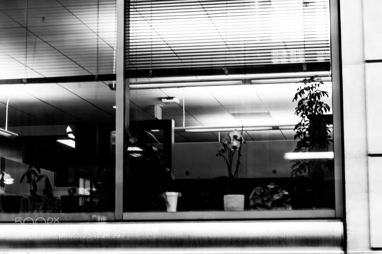 Canon EOS 5D Mark II sample photo. Office window photography