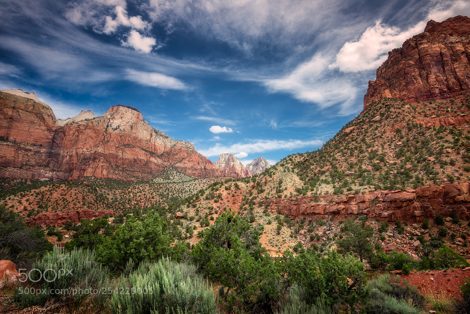 Nikon D600 sample photo. This is zion photography