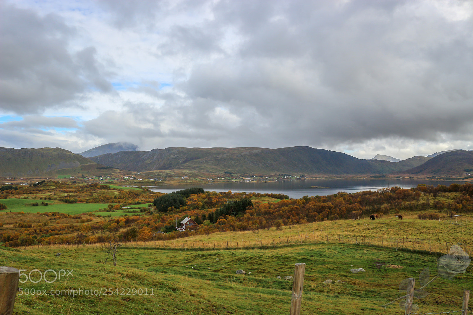 Canon EOS 700D (EOS Rebel T5i / EOS Kiss X7i) sample photo. Finalcutwatermark photography