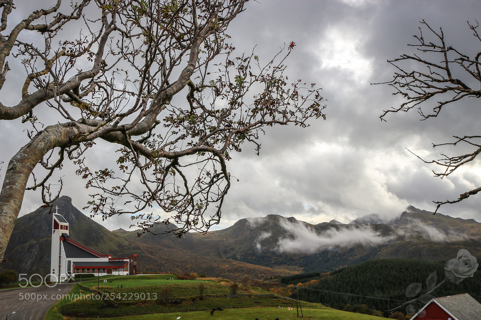 Canon EOS 700D (EOS Rebel T5i / EOS Kiss X7i) sample photo. Finalcutwatermark photography