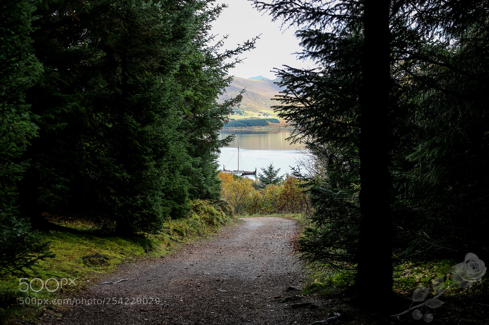Canon EOS 700D (EOS Rebel T5i / EOS Kiss X7i) sample photo. Finalcutwatermark photography
