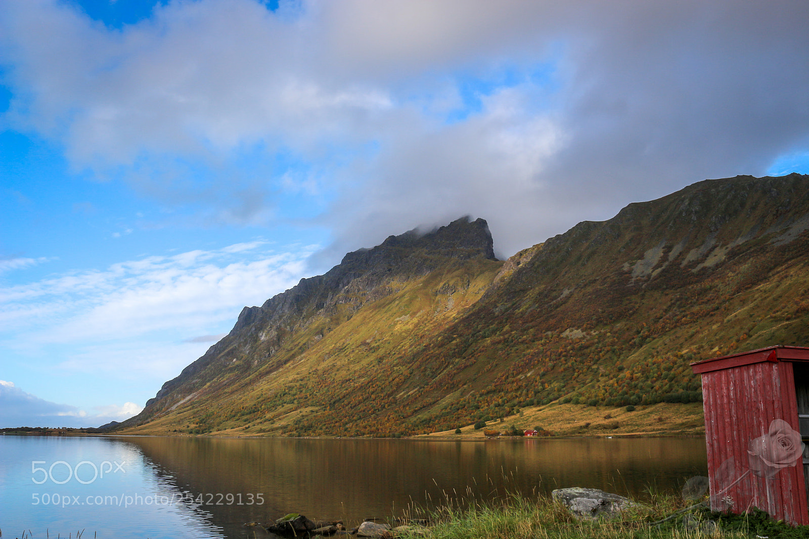 Canon EOS 700D (EOS Rebel T5i / EOS Kiss X7i) sample photo. Finalcutwatermark photography
